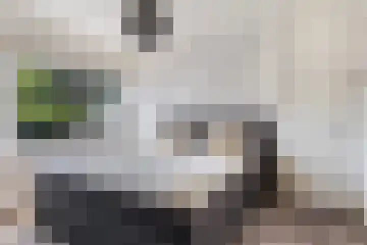Klaverkamp 15 Epe thumbnail 23