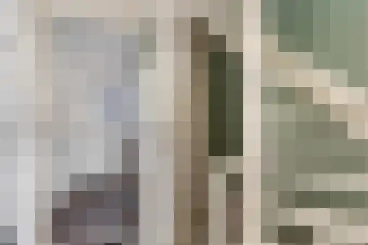 Klaverkamp 15 Epe thumbnail 28