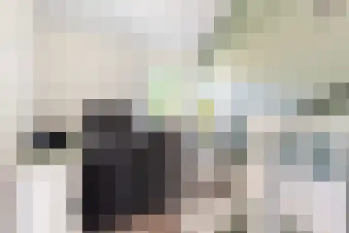 Klaverkamp 15 Epe thumbnail 32