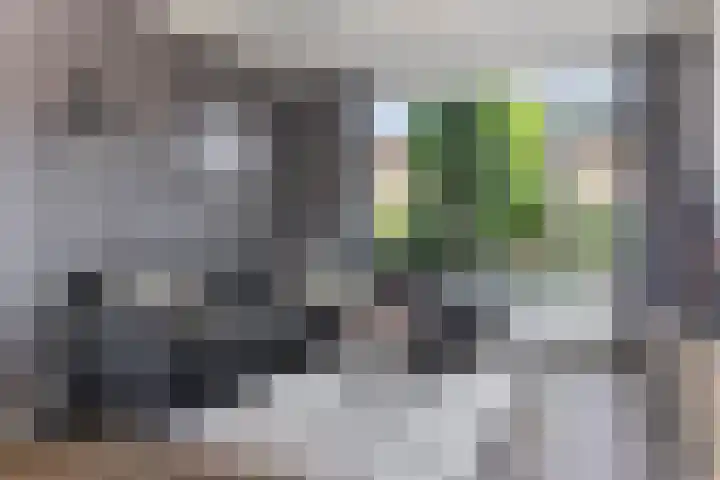 Klaverkamp 15 Epe thumbnail 4