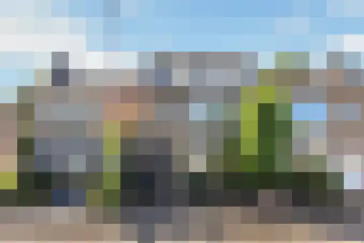 Klaverkamp 15 Epe thumbnail 48