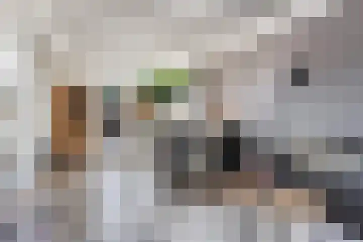 Klaverkamp 15 Epe thumbnail 5