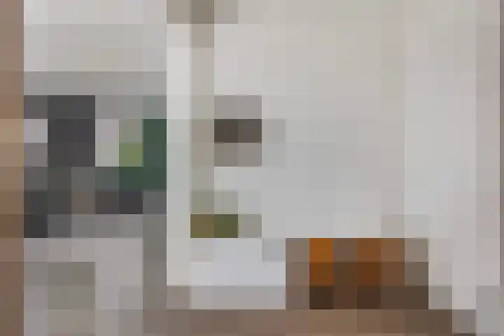 Klaverkamp 15 Epe thumbnail 8