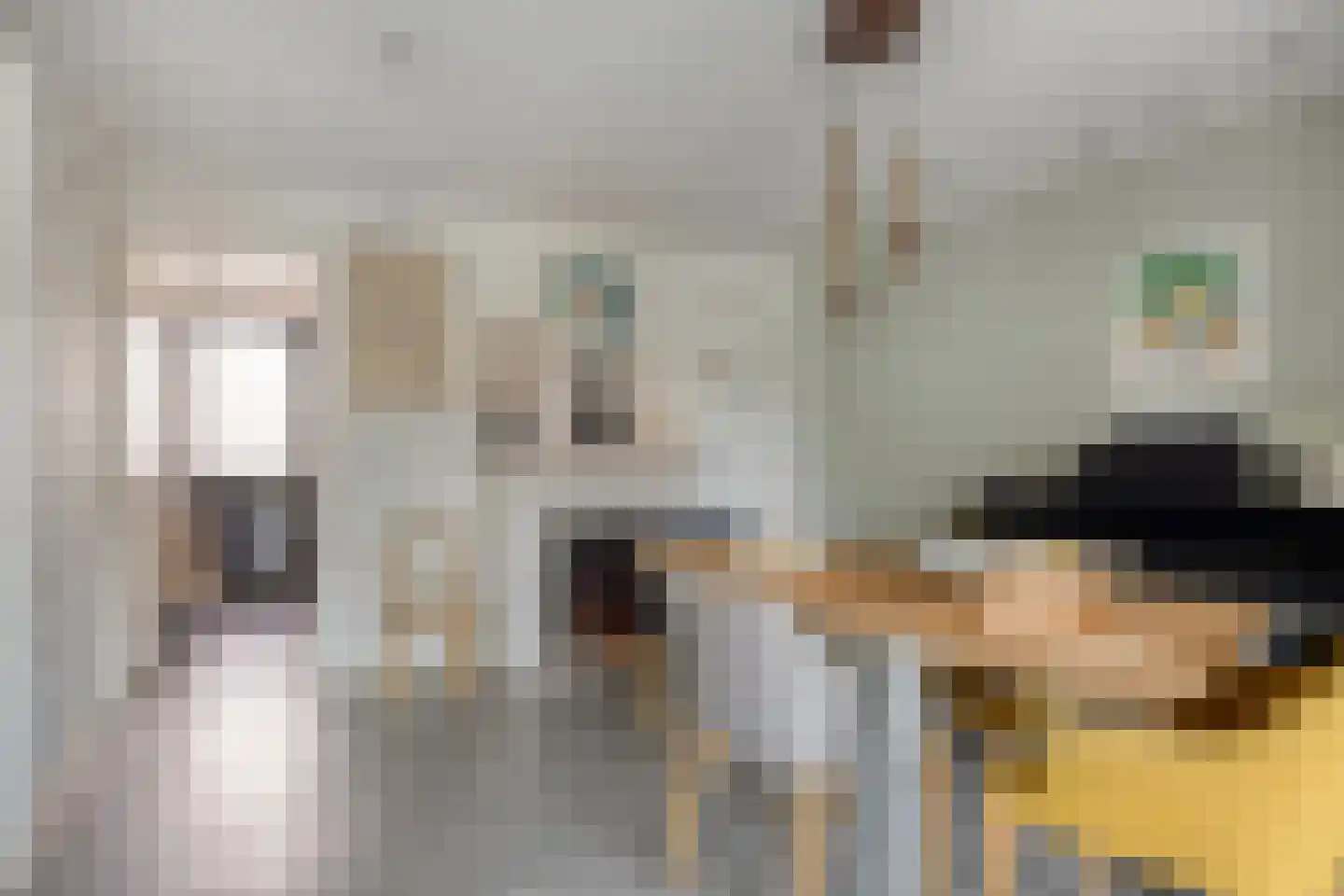 Klaverkamp 17 Beugen thumbnail 19