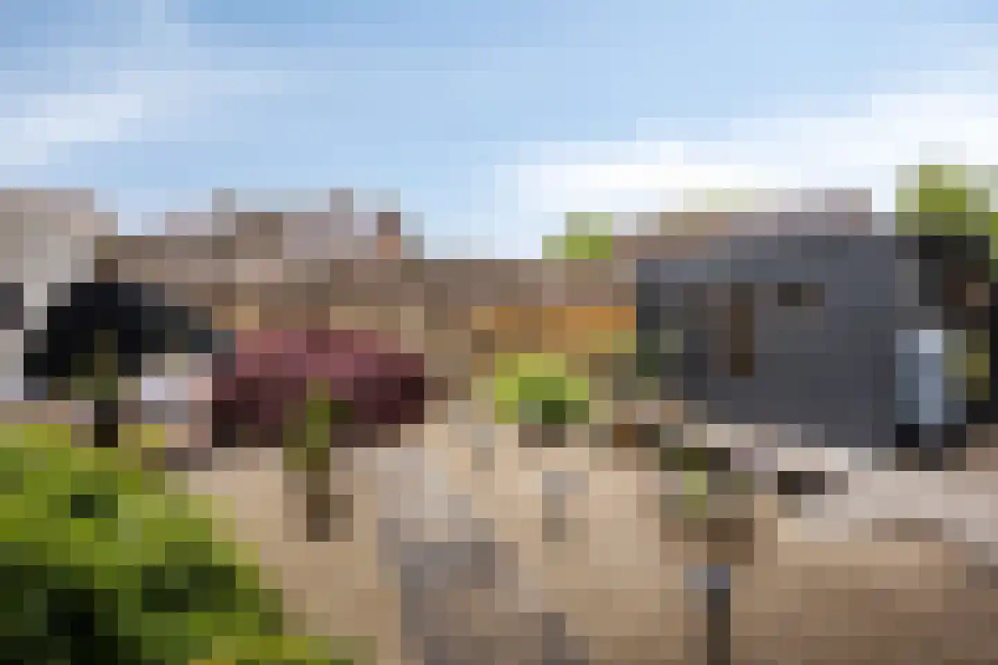 Klaverkamp 17 Beugen thumbnail 36