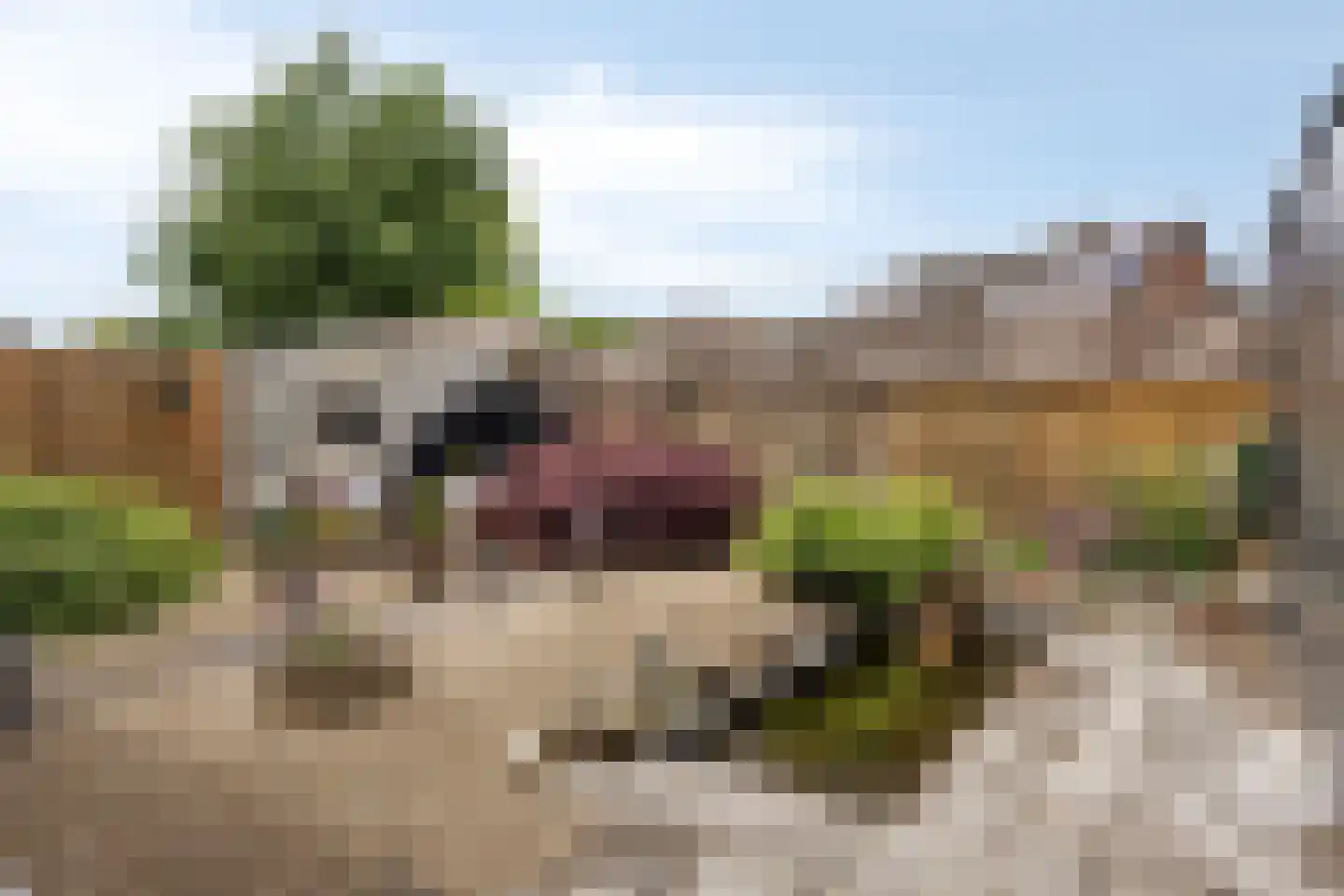 Klaverkamp 17 Beugen thumbnail 37