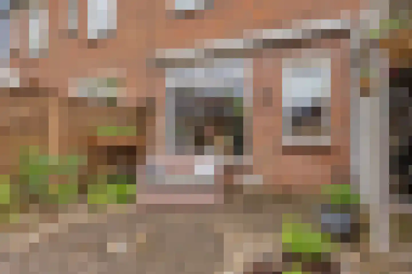 Klaverkamp 17 Beugen thumbnail 38