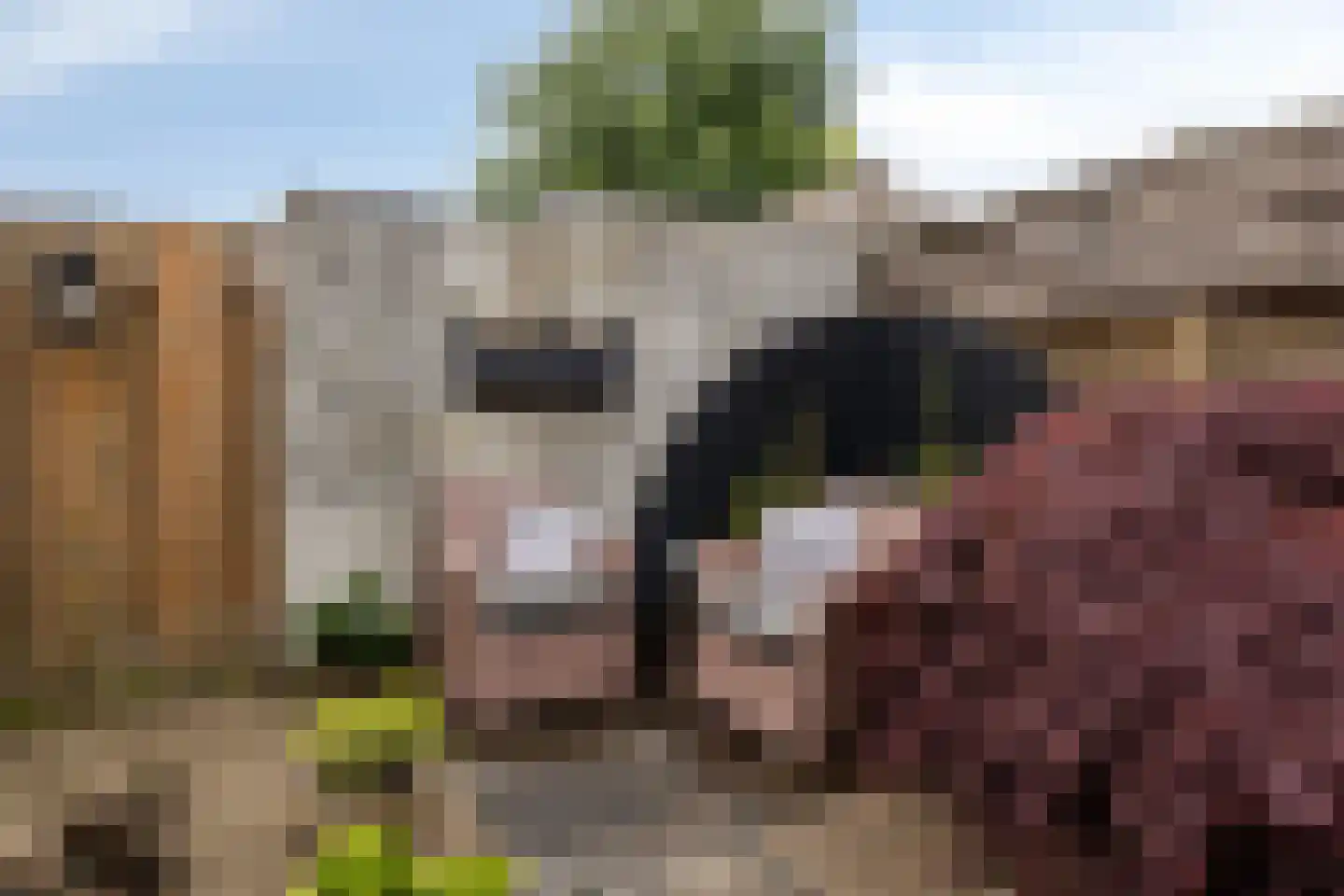 Klaverkamp 17 Beugen thumbnail 40