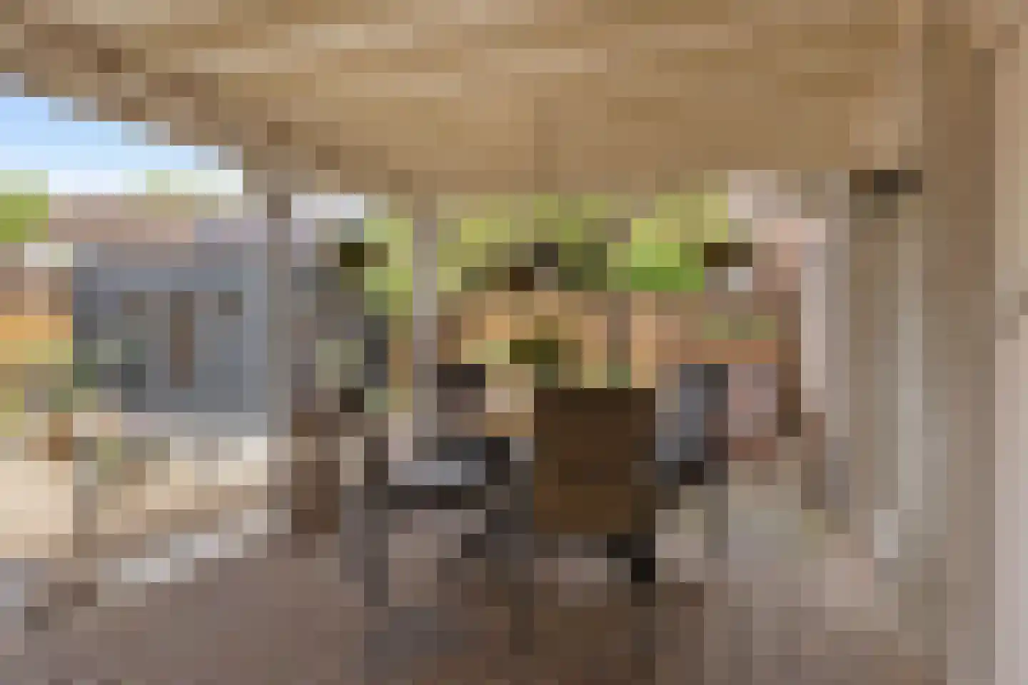 Klaverkamp 17 Beugen thumbnail 41