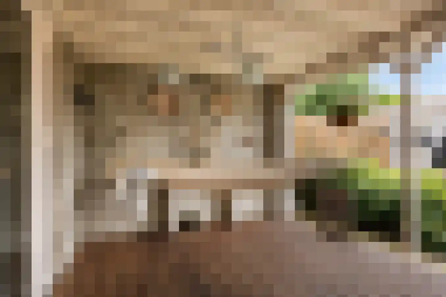 Klaverkamp 17 Beugen thumbnail 42