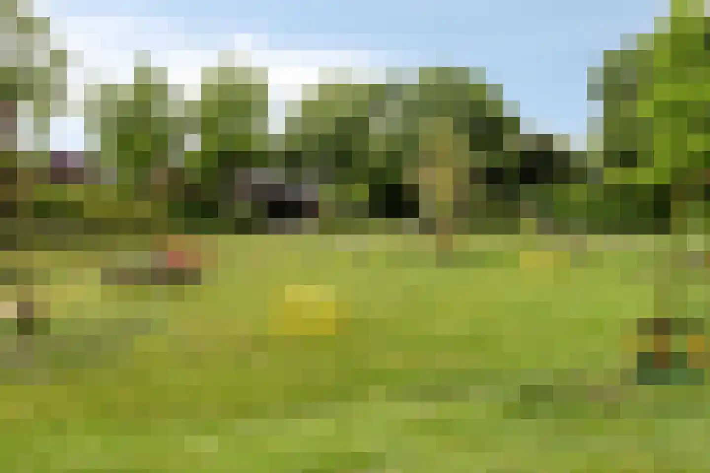 Klaverkamp 17 Beugen thumbnail 48