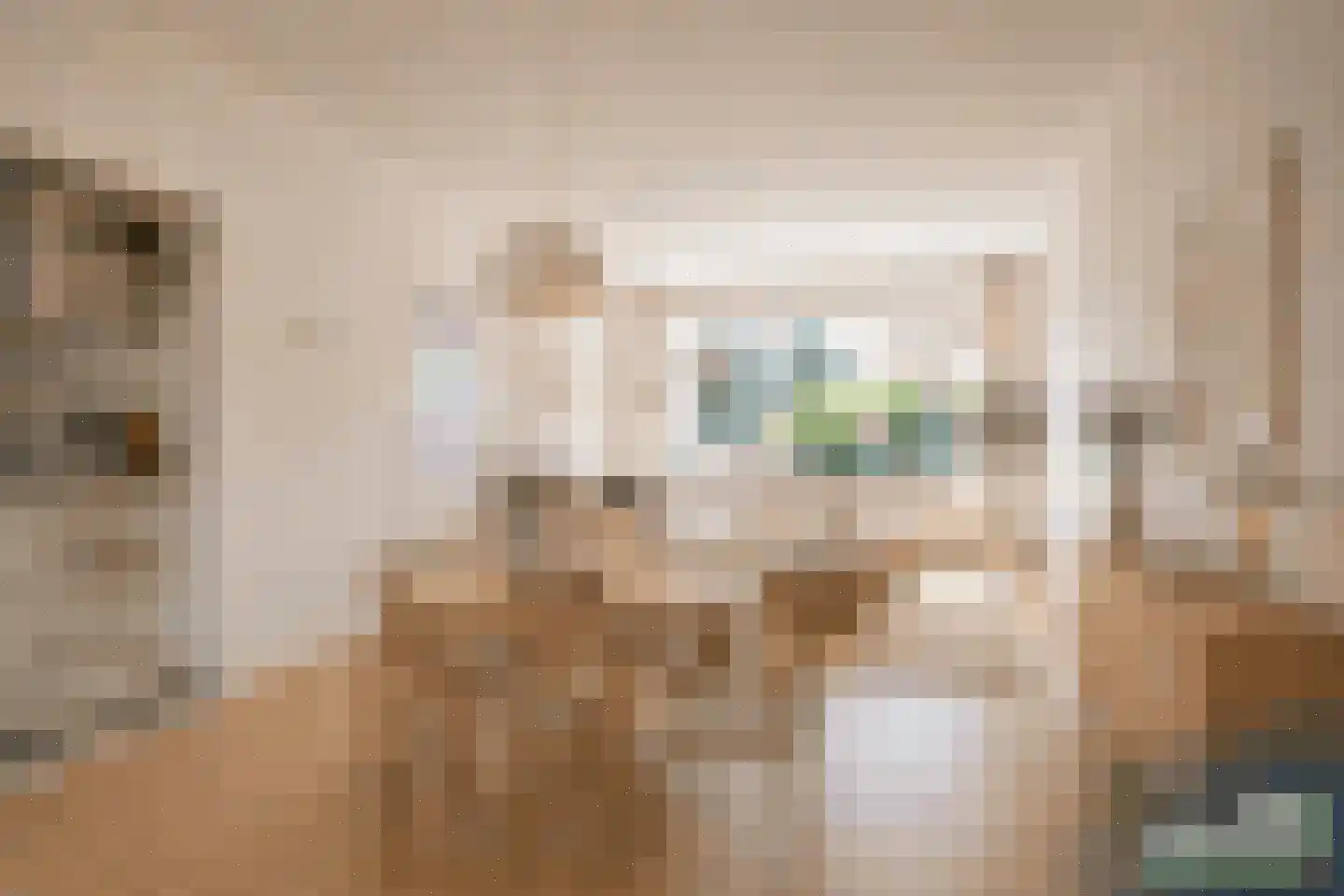 Klaverkamp 21 Tytsjerk thumbnail 20