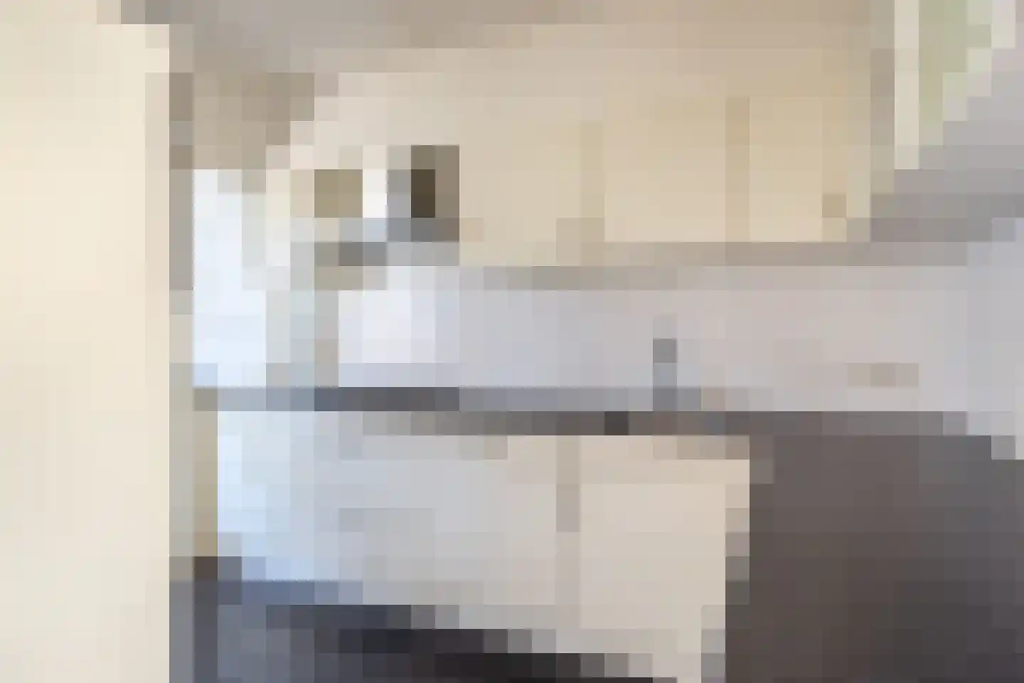 Klaverkamp 21 Tytsjerk thumbnail 23