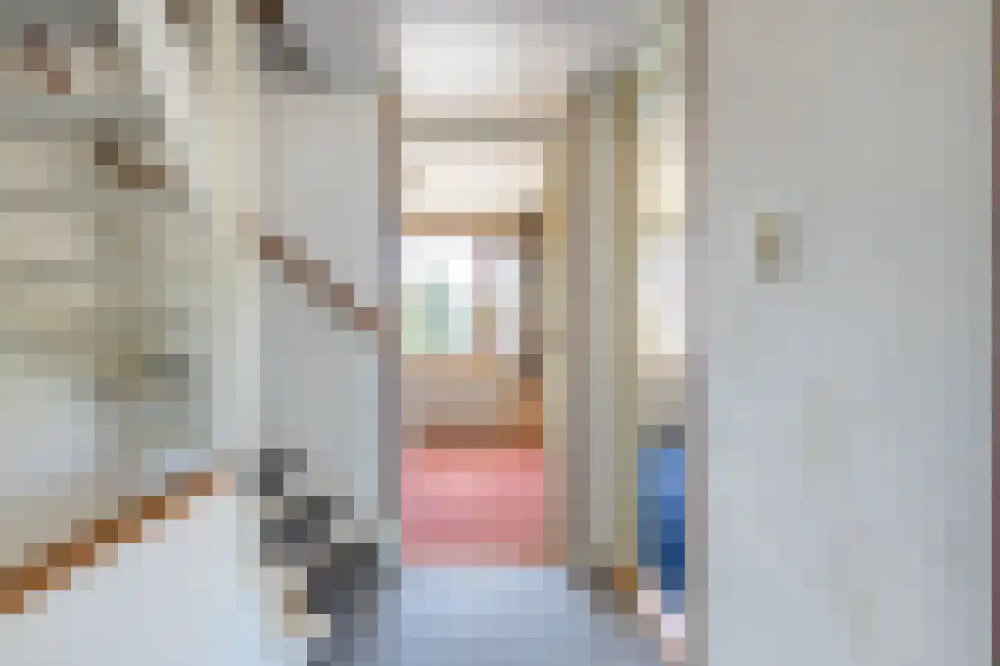 Klaverkamp 21 Tytsjerk thumbnail 28