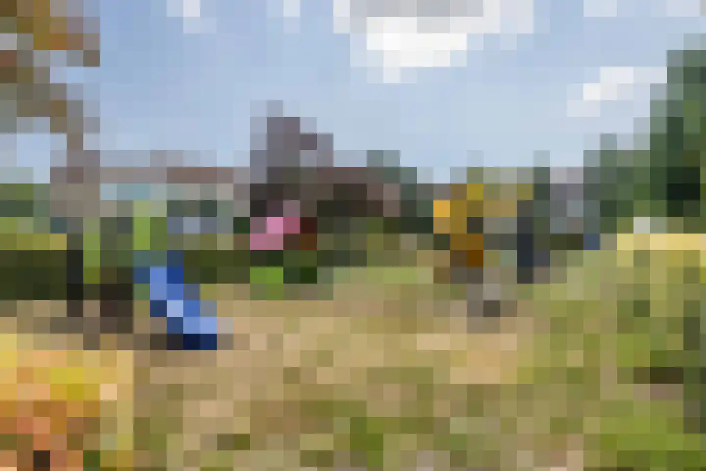 Klaverkamp 21 Tytsjerk thumbnail 9