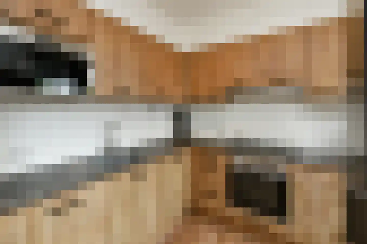 Klaverkamp 25 Elst thumbnail 11