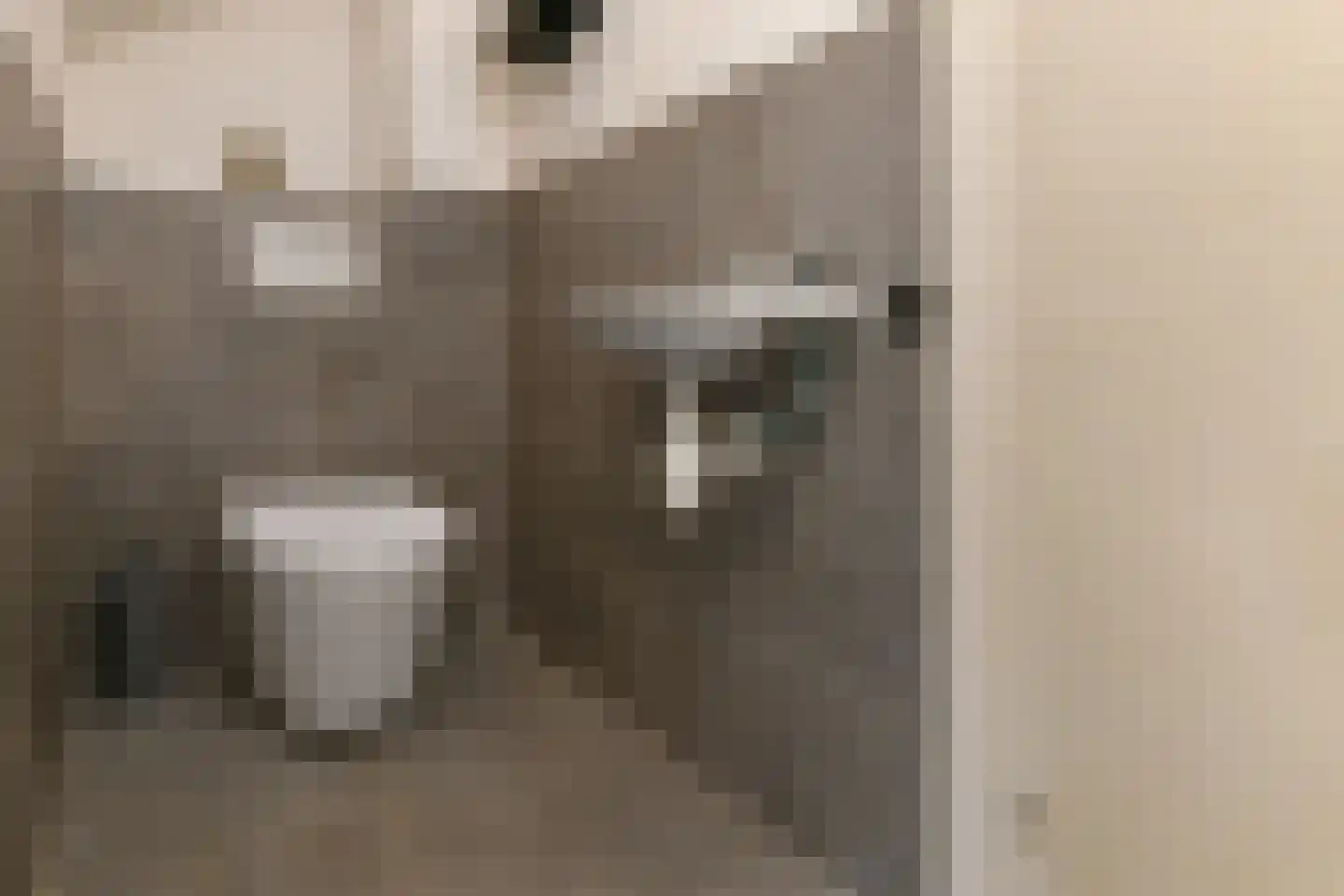 Klaverkamp 25 Elst thumbnail 14
