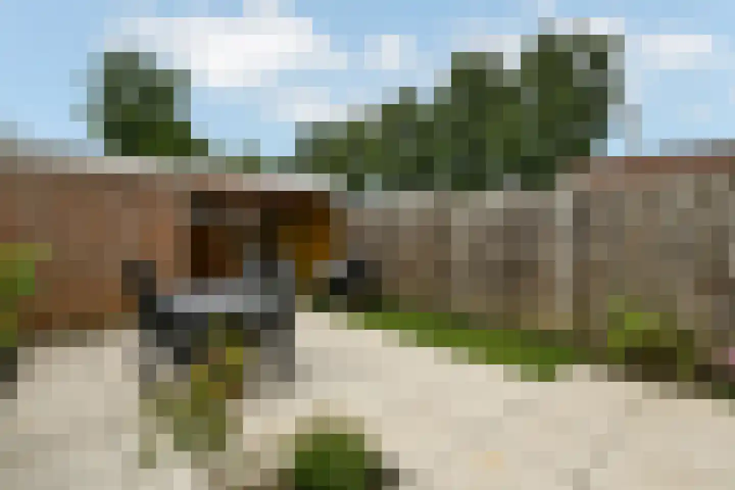 Klaverkamp 25 Elst thumbnail 27