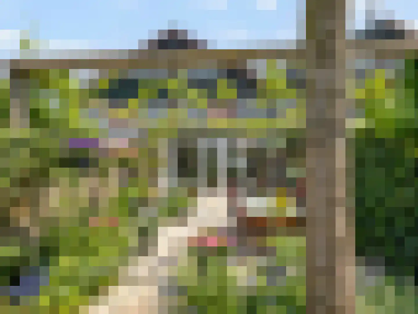 Klaverkamp 31 Vianen thumbnail 48