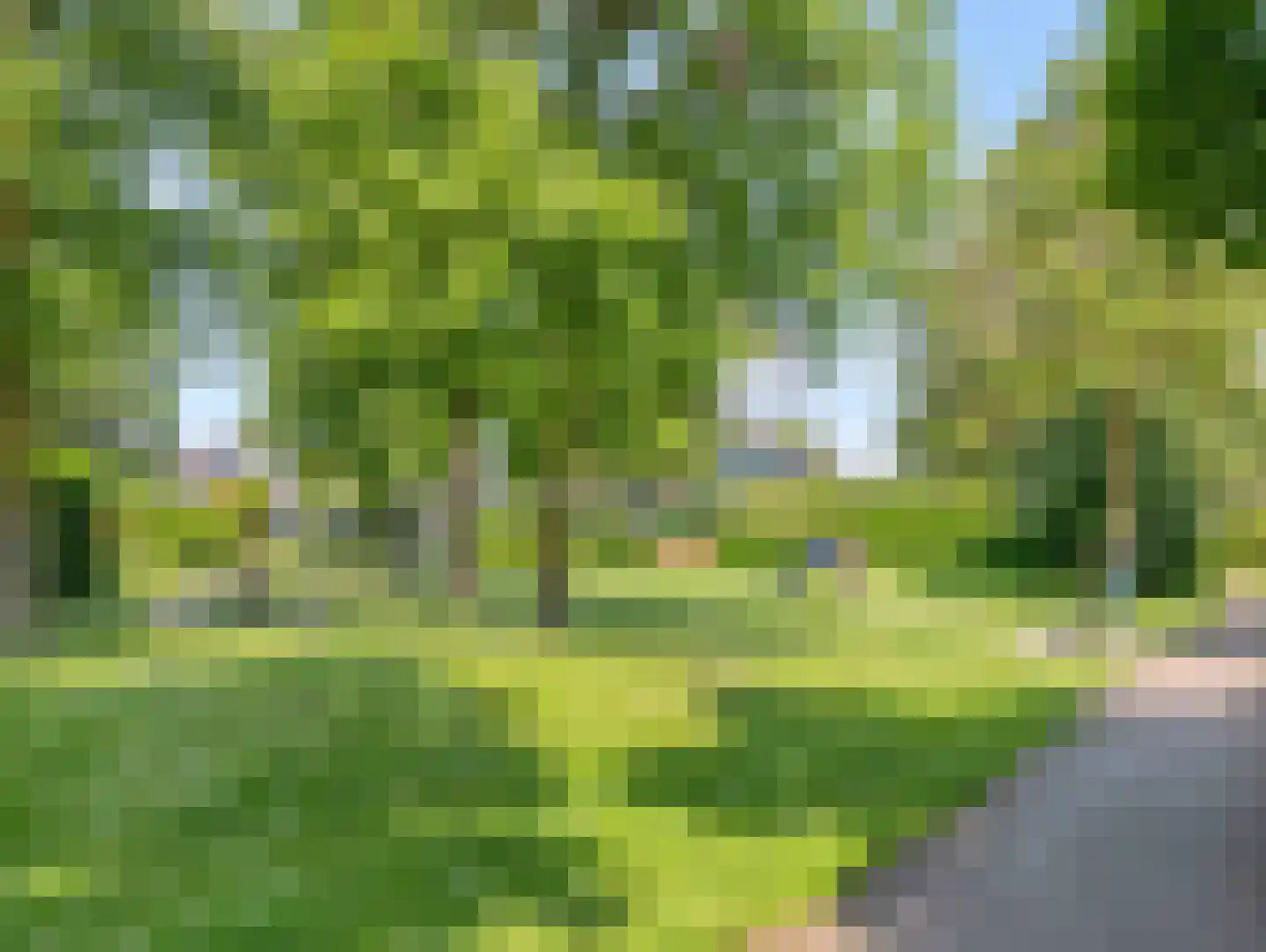 Klaverkamp 31 Vianen thumbnail 51