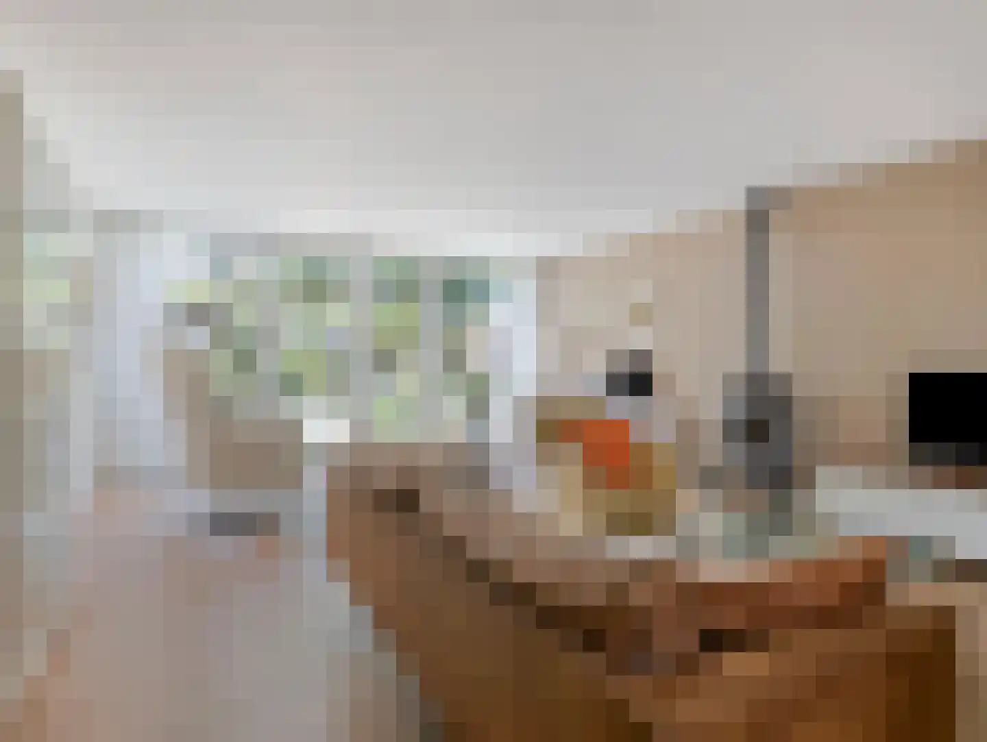 Klaverkamp 31 Vianen thumbnail 8