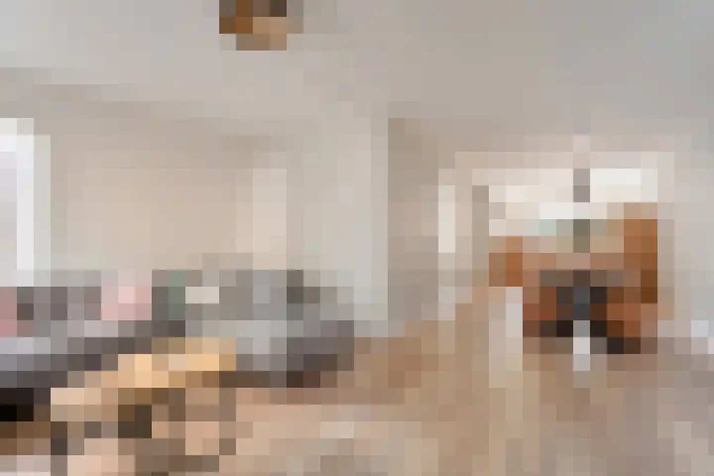 Klaverkamp 34 Hoogeveen thumbnail 4