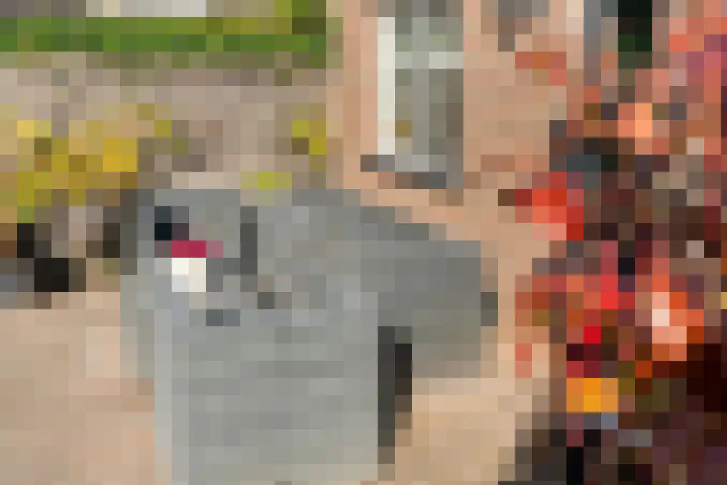 Klaverkamp 34 Hoogeveen thumbnail 49