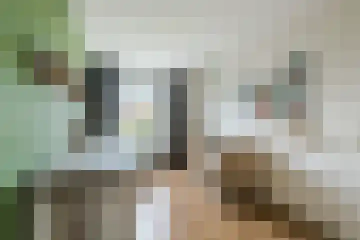 Klaverkamp 38 Hoogeveen thumbnail 17
