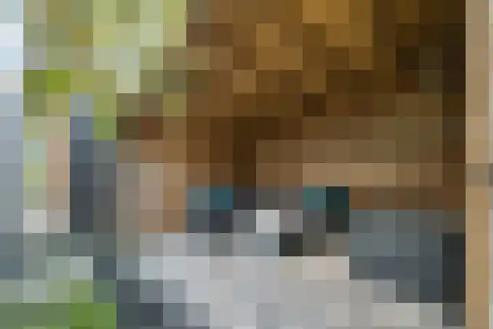 Klaverkamp 38 Hoogeveen thumbnail 29