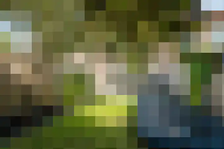 Klaverkamp 38 Hoogeveen thumbnail 30