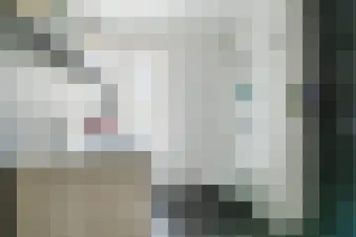 Klaverkamp 38 Hoogeveen thumbnail 4