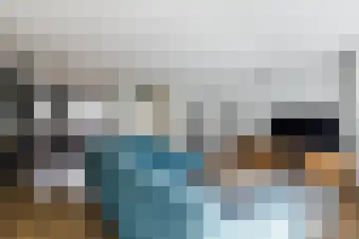 Klaverkamp 38 Hoogeveen thumbnail 9