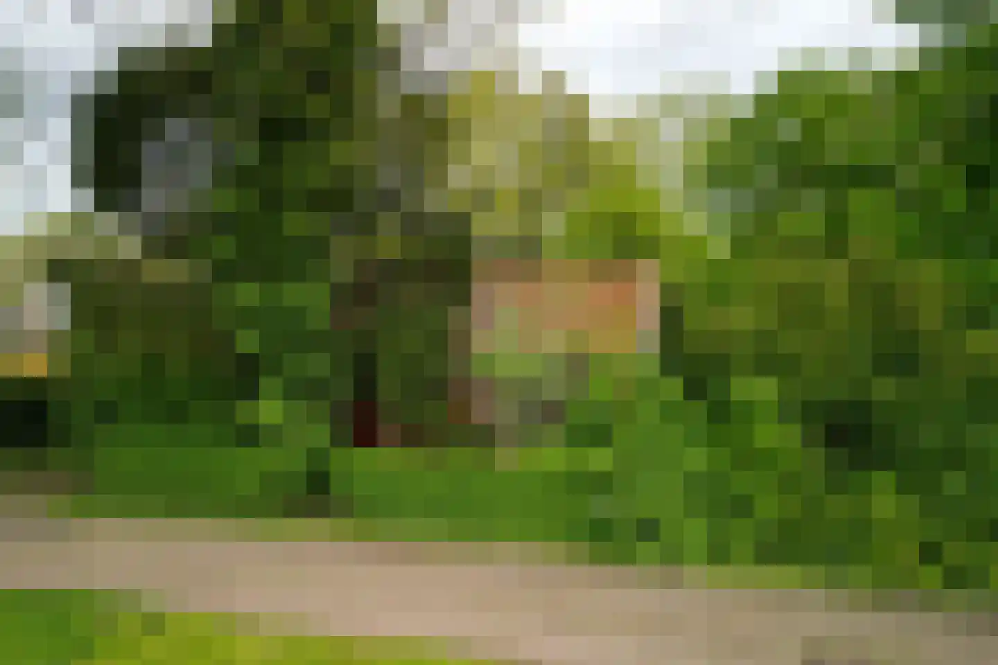 Klaverkamp 4 Nieuwegein thumbnail 10