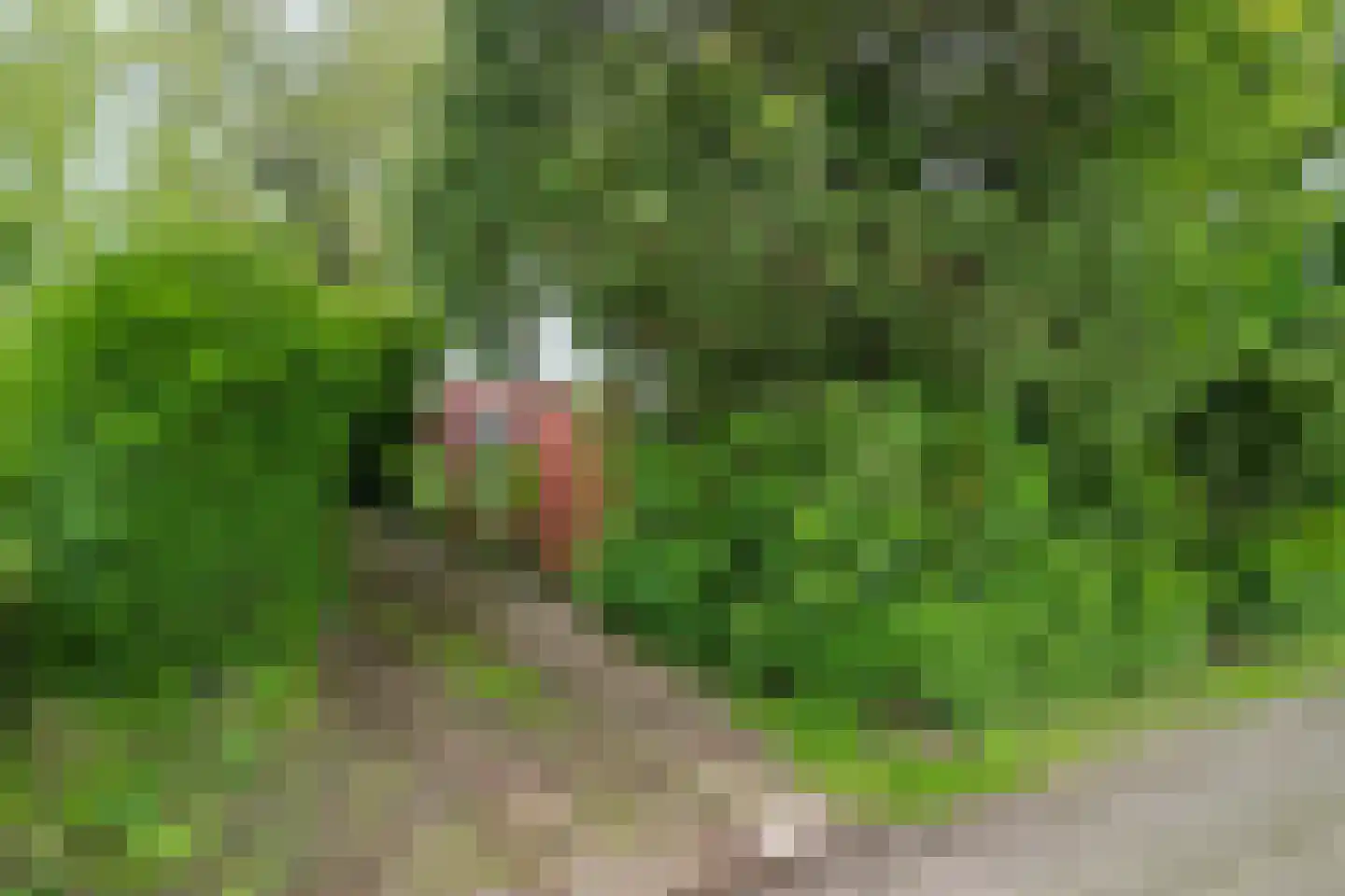 Klaverkamp 4 Nieuwegein thumbnail 4