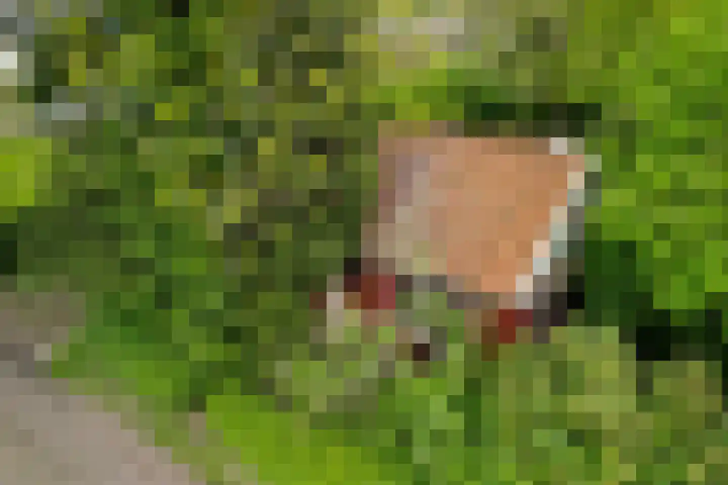 Klaverkamp 4 Nieuwegein thumbnail 5