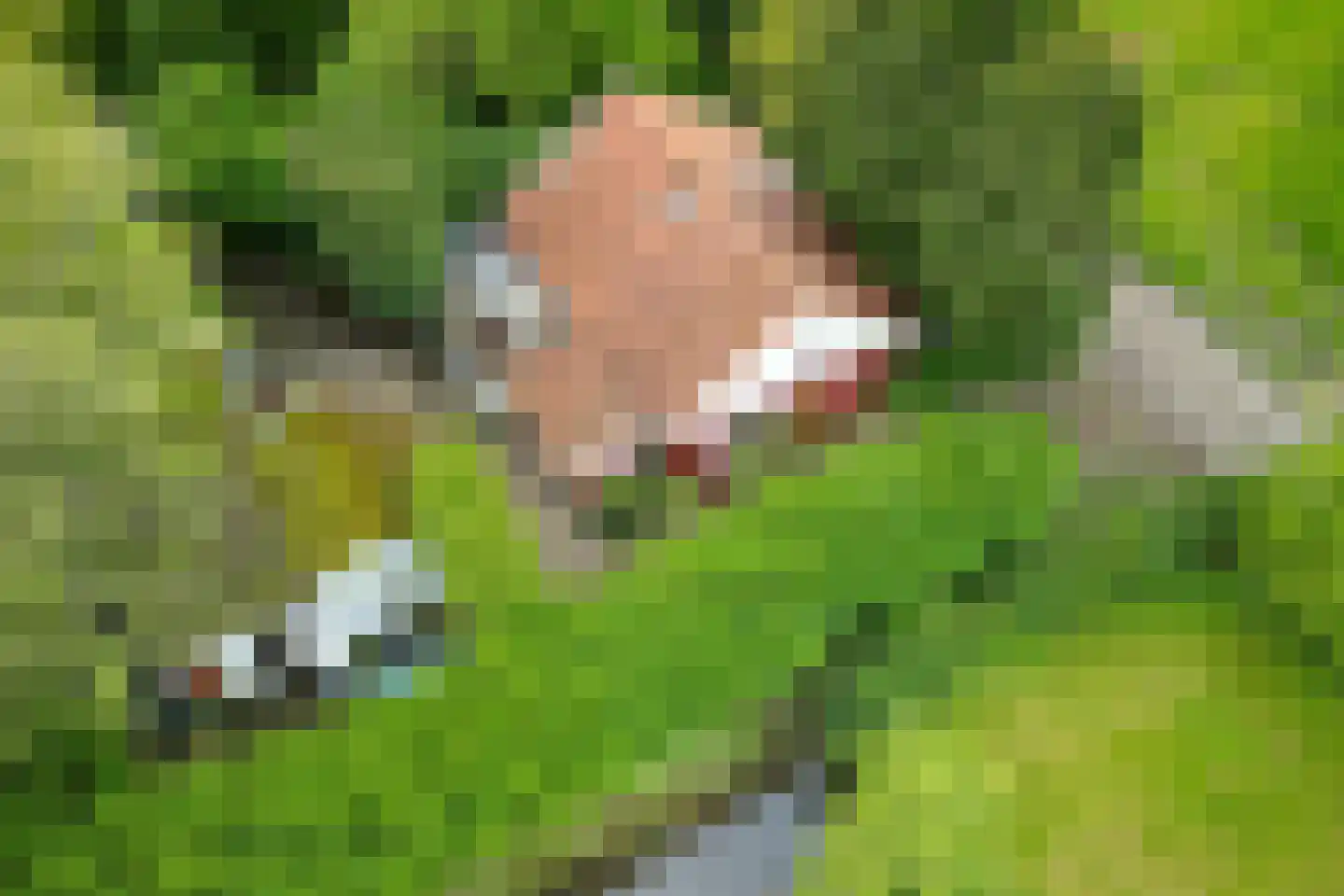 Klaverkamp 4 Nieuwegein thumbnail 6