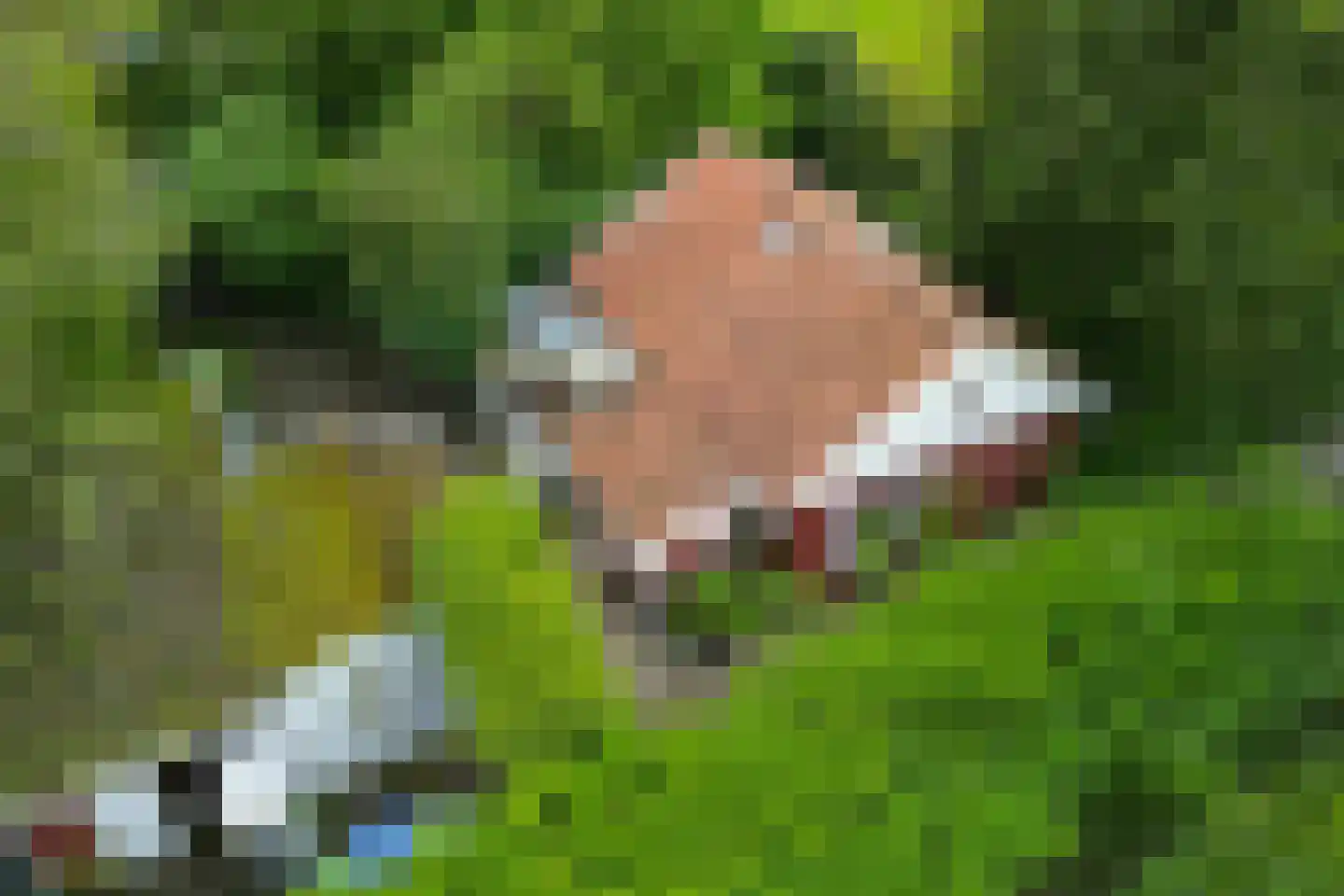 Klaverkamp 4 Nieuwegein thumbnail 8