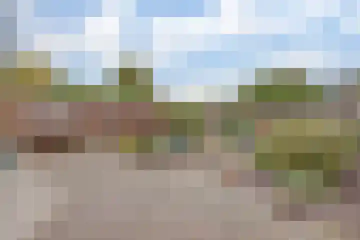 Klaverkamp 40 Vianen thumbnail 31