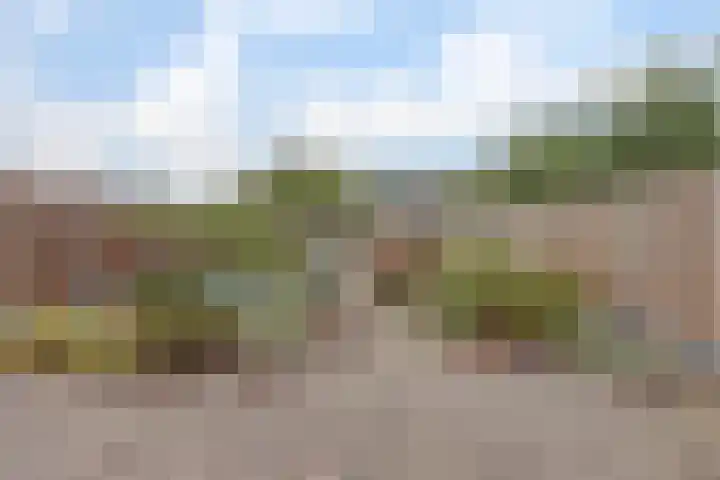 Klaverkamp 40 Vianen thumbnail 32