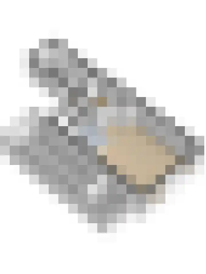 Klaverkamp 40 Vianen thumbnail 38