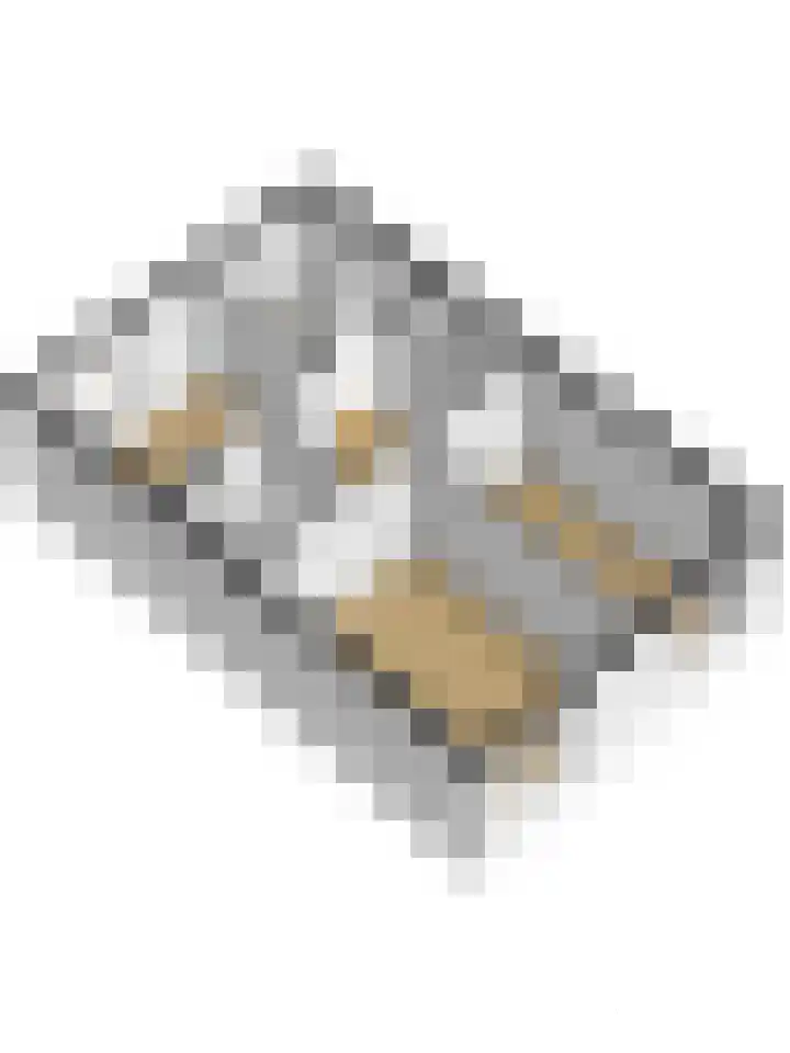 Klaverkamp 40 Vianen thumbnail 39