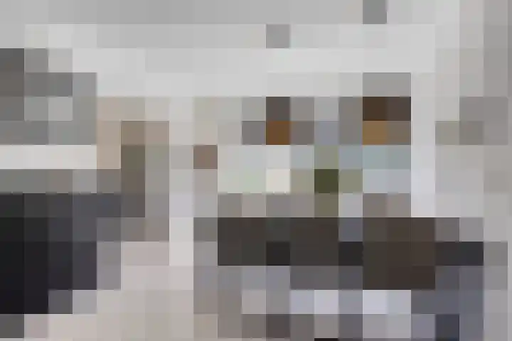 Klaverkamp 41 Tytsjerk thumbnail 13