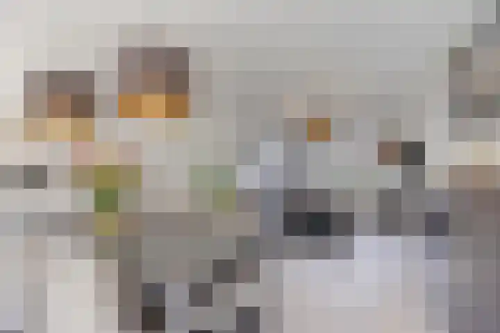 Klaverkamp 41 Tytsjerk thumbnail 15