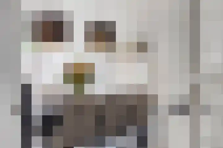 Klaverkamp 41 Tytsjerk thumbnail 16