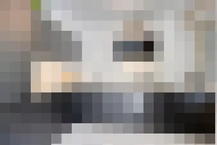Klaverkamp 41 Tytsjerk thumbnail 17