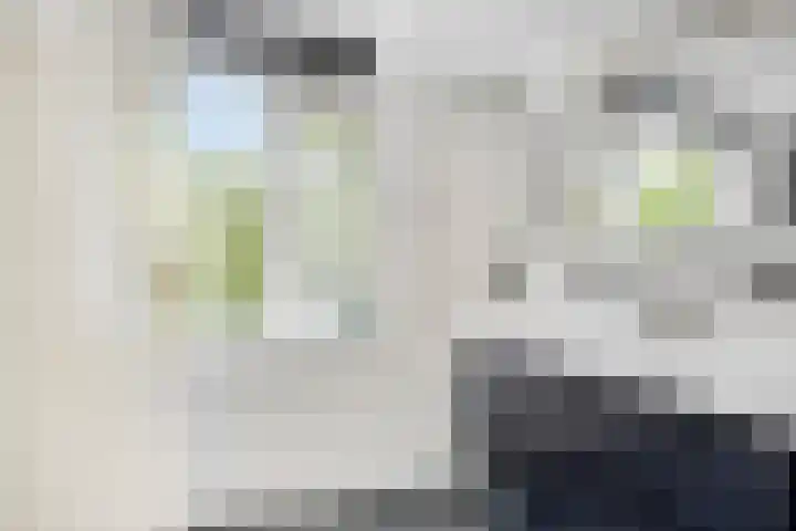 Klaverkamp 41 Tytsjerk thumbnail 26