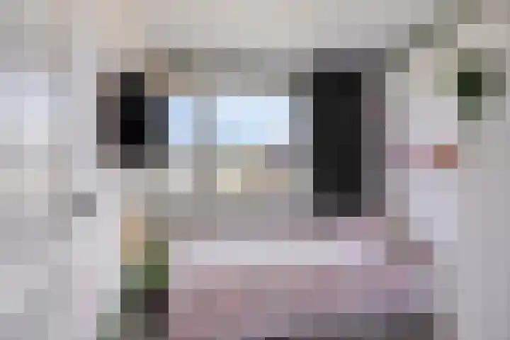 Klaverkamp 41 Tytsjerk thumbnail 30