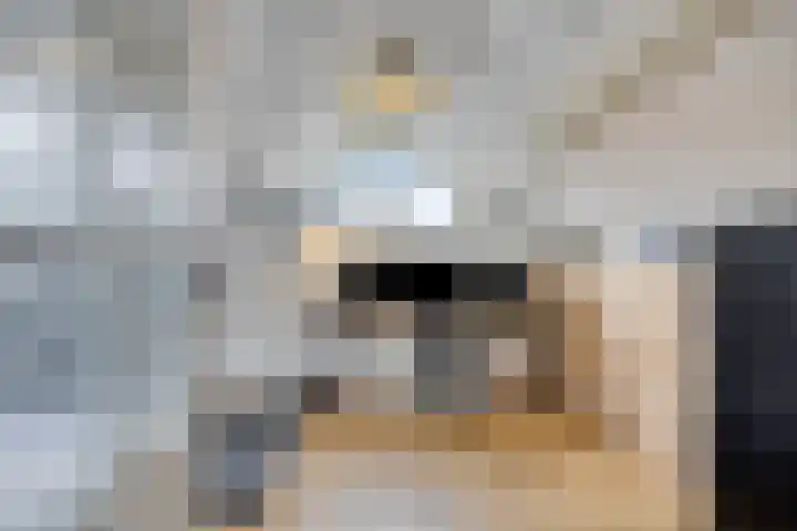Klaverkamp 41 Tytsjerk thumbnail 33