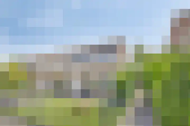 Klaverkamp 41 Tytsjerk thumbnail 4