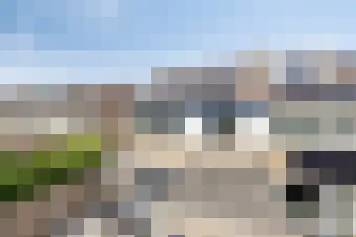Klaverkamp 41 Tytsjerk thumbnail 41